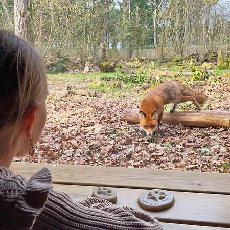 Отель Center Parcs Le Bois Aux Daims Morton Экстерьер фото