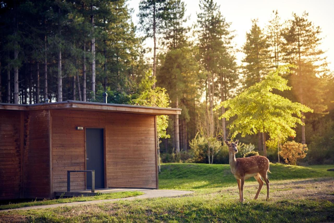 Отель Center Parcs Le Bois Aux Daims Morton Экстерьер фото