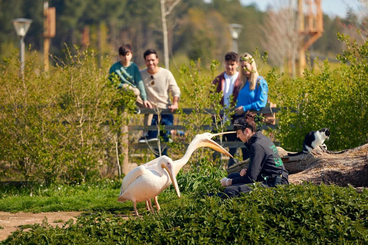 Отель Center Parcs Le Bois Aux Daims Morton Экстерьер фото