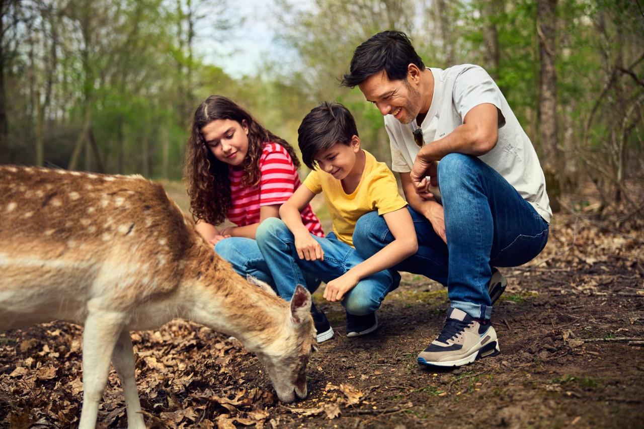 Отель Center Parcs Le Bois Aux Daims Morton Экстерьер фото